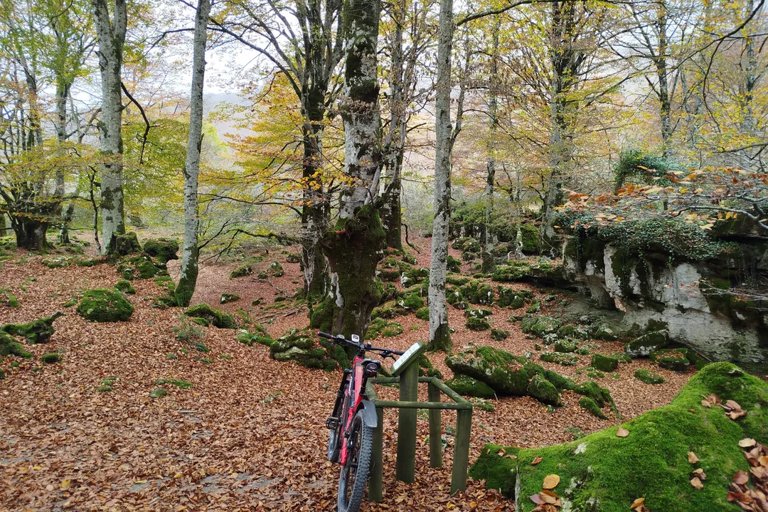 Senderismo de otoño en el Parque Natural de Urbasa
